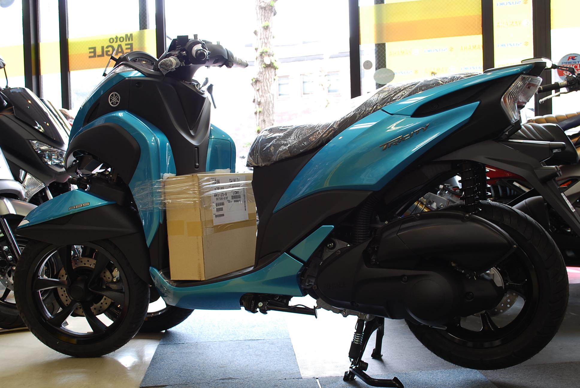 トリシティ　2018 014